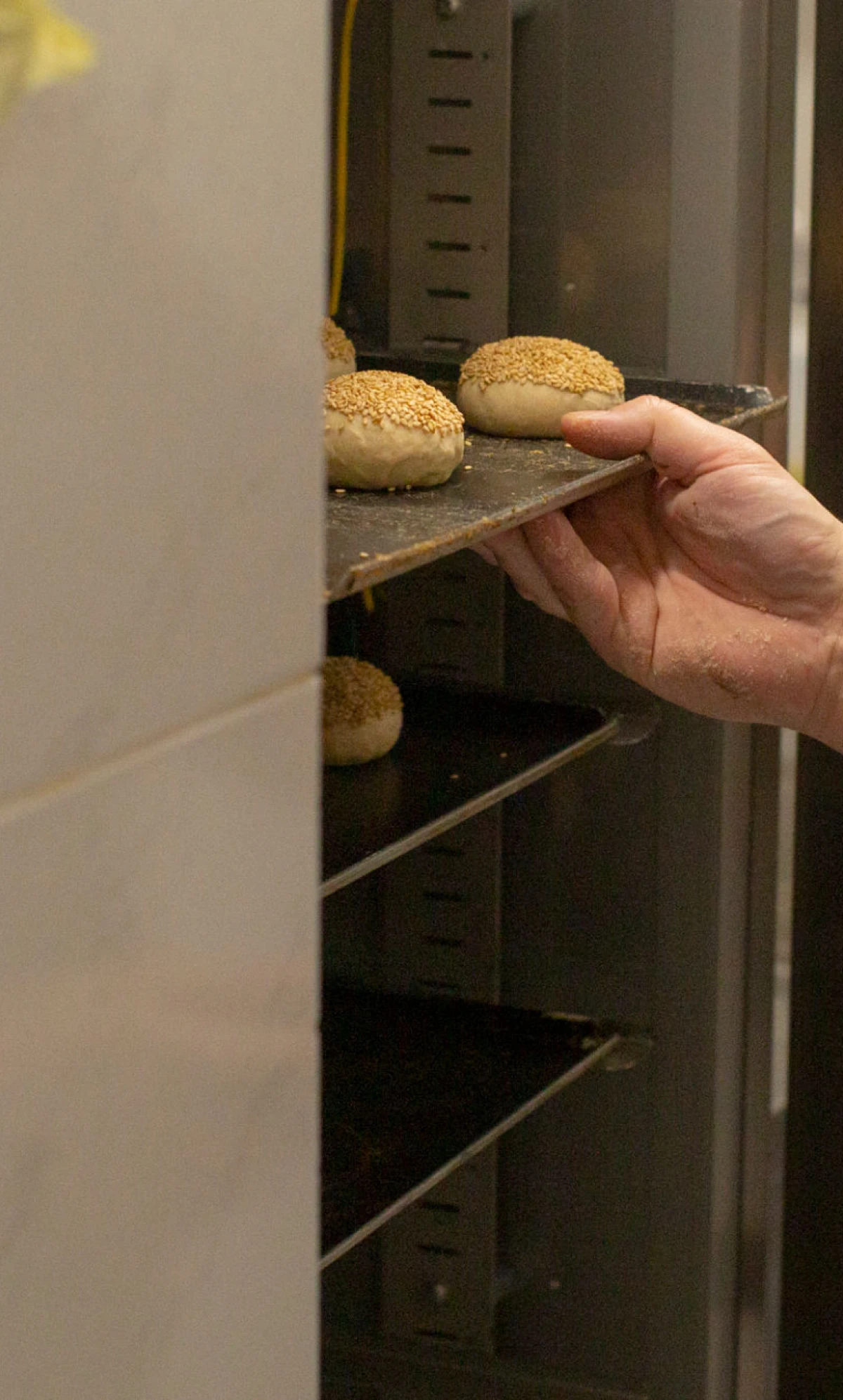 Person placing tray of buns in oven