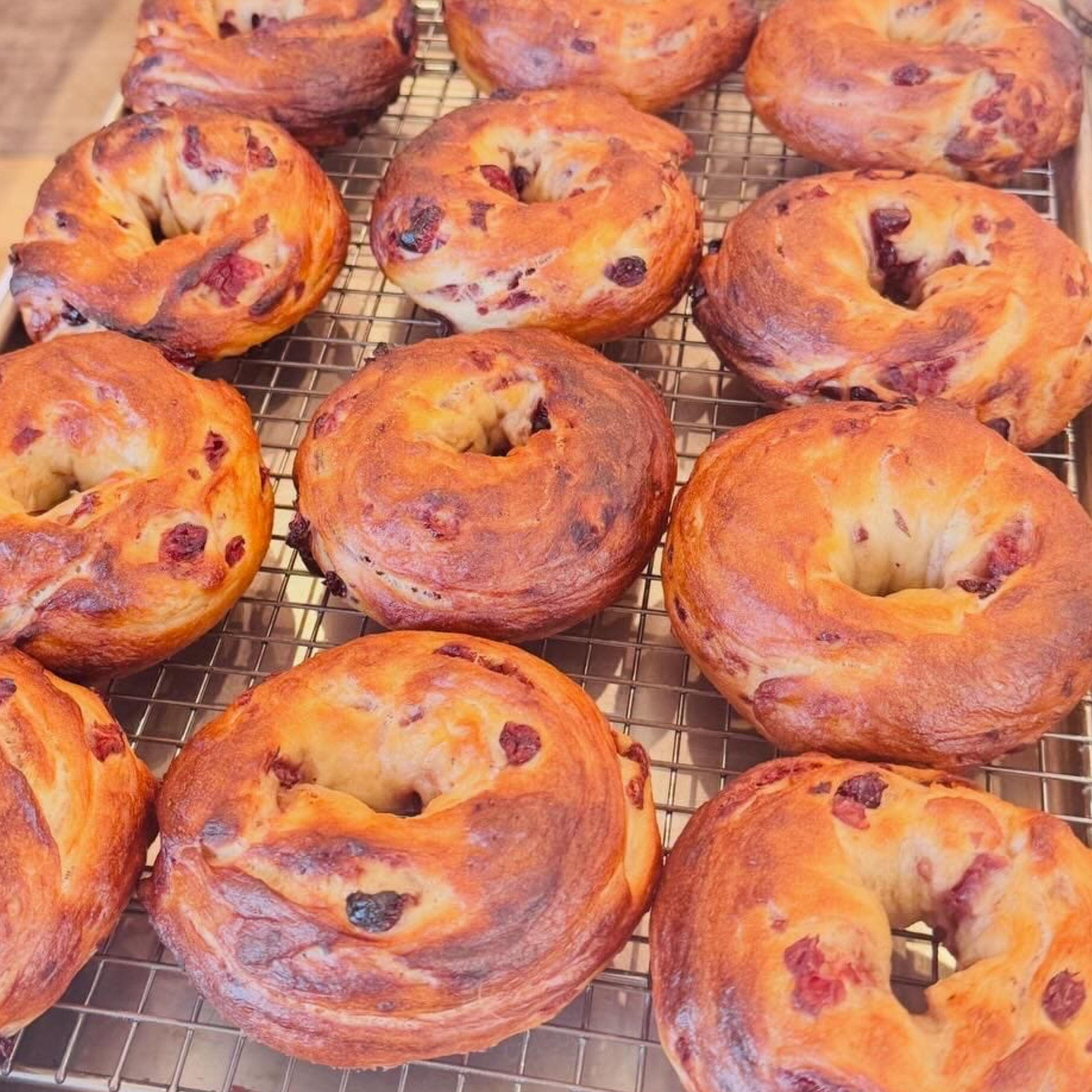 Cranberry Bagels